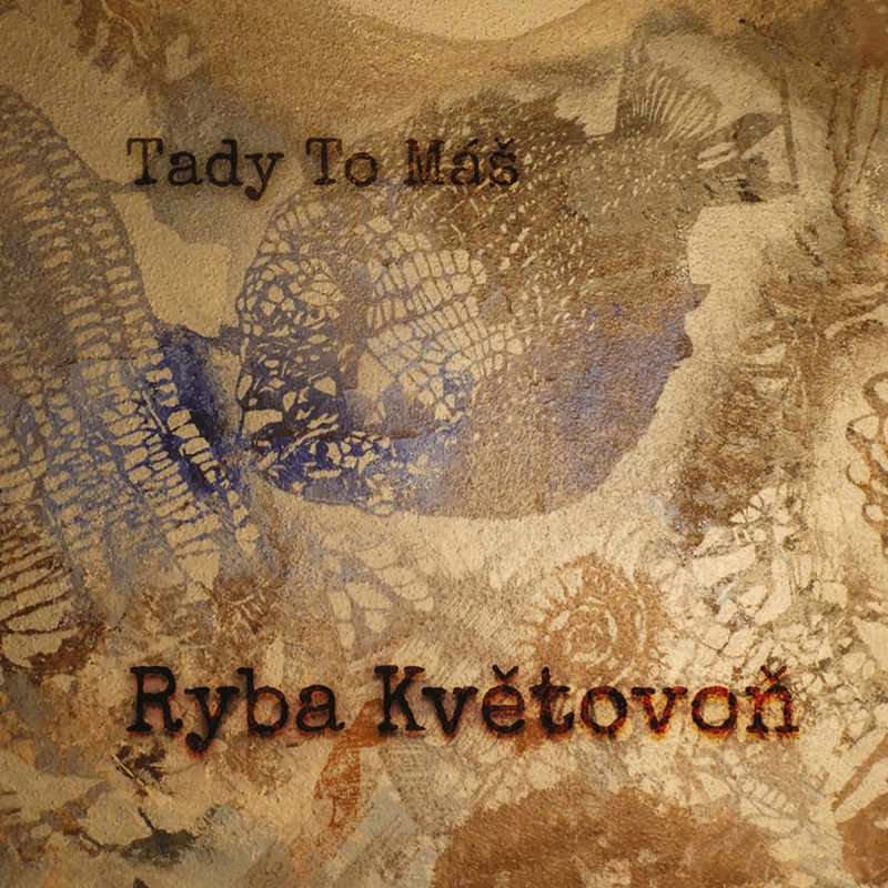 TADY TO MÁŠ: Ryba Květovoň