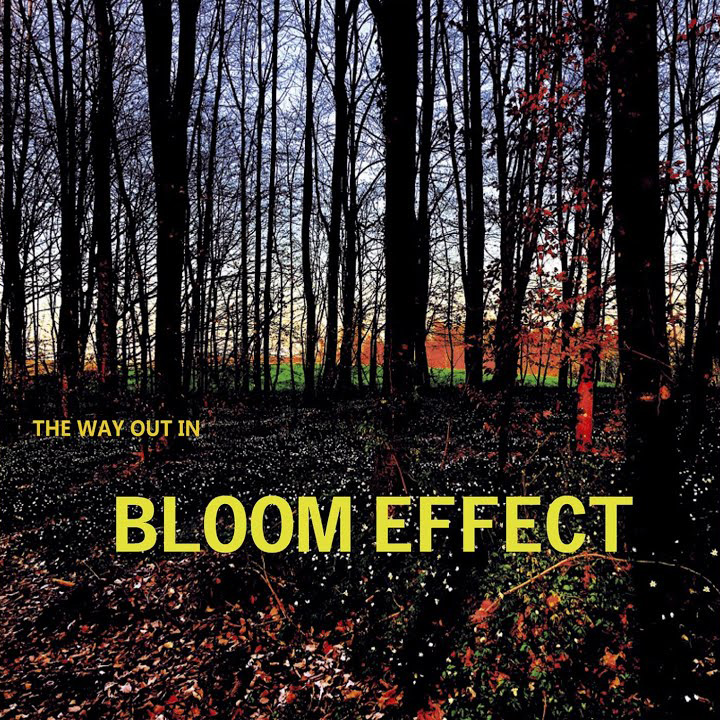 BLOOM EFFECT: The Way Out In