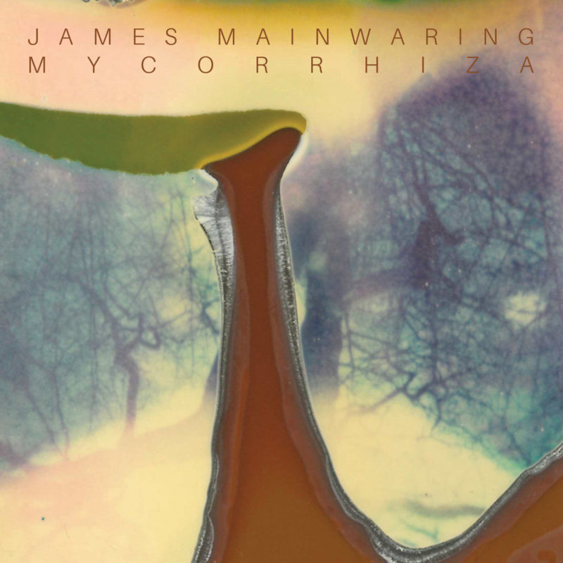 James Mainwaring: Mycorrhiza