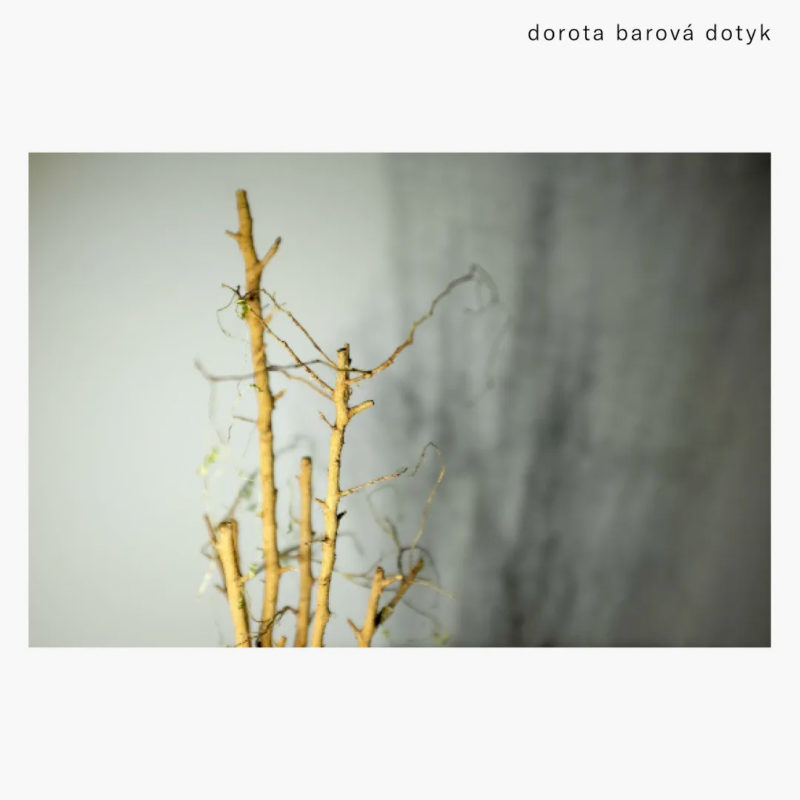 DOROTA BAROVÁ: Dotyk