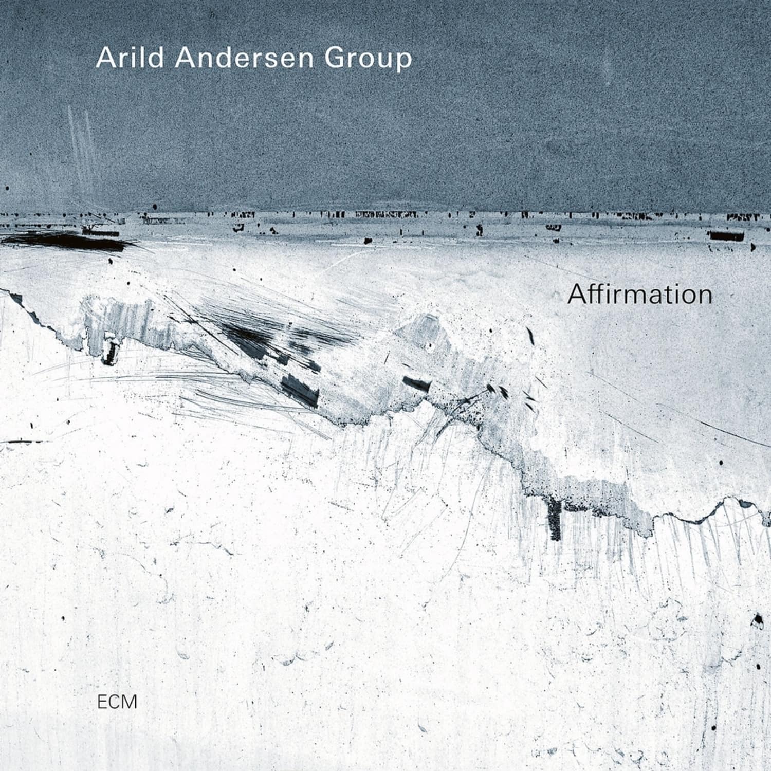 ARILD ANDERSEN: Affirmation