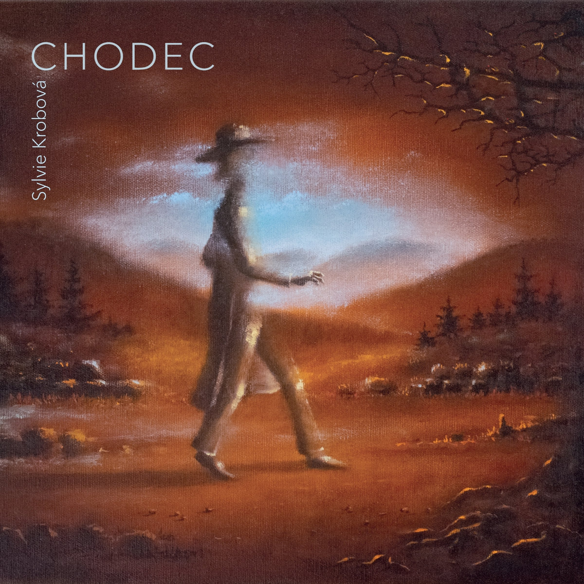 SYLVIE KROBOVÁ: Chodec