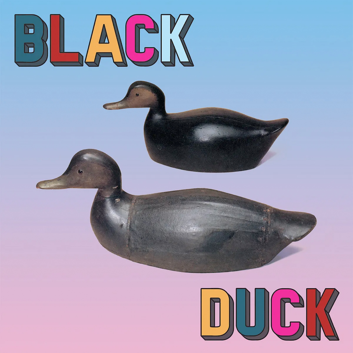 BLACK DUCK: Black Duck