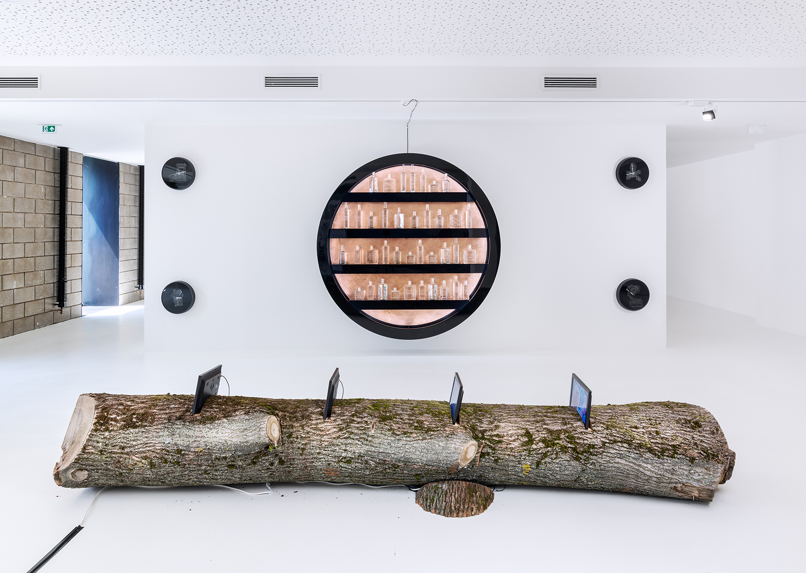 Rafani: Naše spojení je vyšší formou individuality